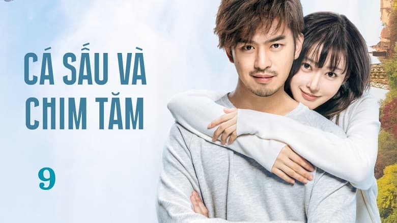 Cá Sấu Và Chim Tăm