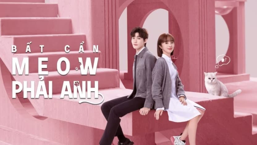Bất Cẩn Meow Phải Anh