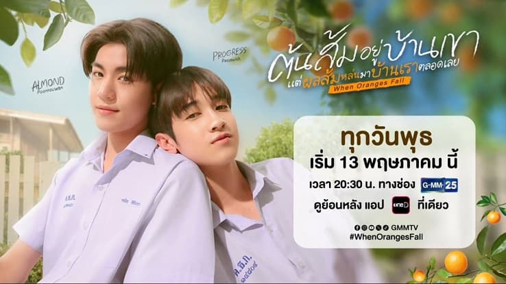 Cây cam ở nhà cậu ấy nhưng quả cam luôn rơi sang nhà tôi